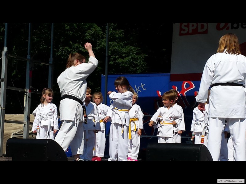 20150830_115017(0)