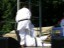 20150830_120107